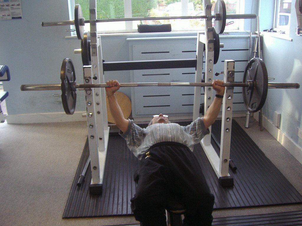 Scientists Found a Gut Bacterium That Seems to Build Muscle Strength